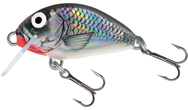 Salmo Tiny Bug Sinking
