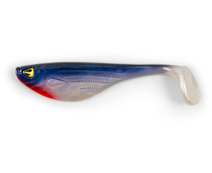 Black Cat Big Hit Shad