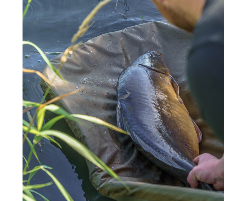 Avid Revolve Folding Flat Mat