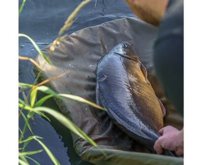 Avid Revolve Folding Flat Mat