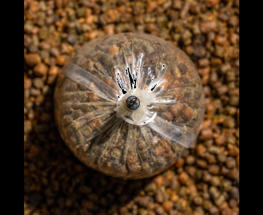 Avid Outline FleckTone Bag Stem - Ring Swivel