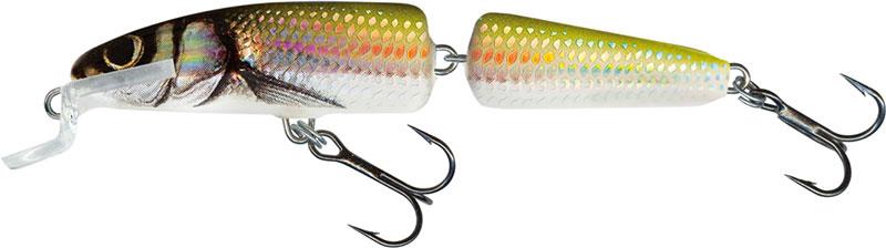 Salmo Fanatic Floating