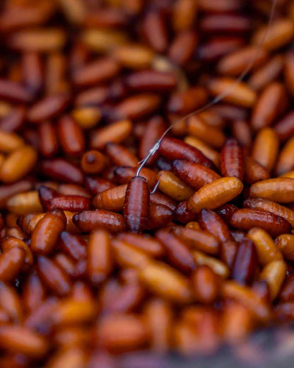 Matrix X4 Commercial Silvers Hook - Spade Barbless