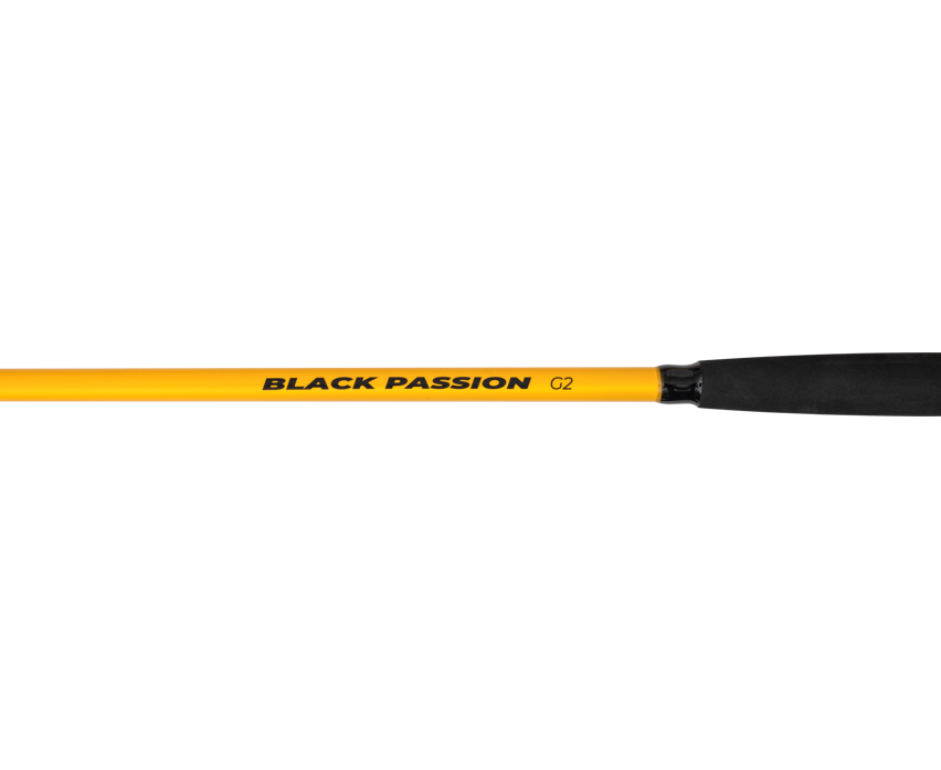 Black Cat Allround Black Passion G2 2,70m 600g