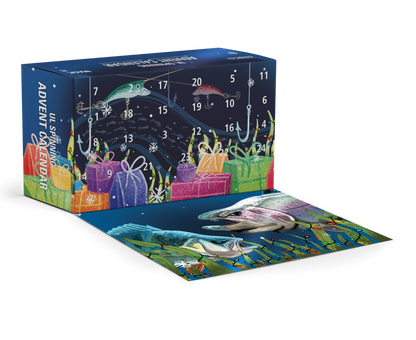 Zebco UL Spinning Advent Calendar