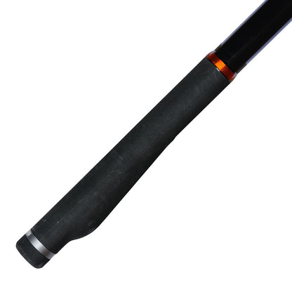 TronixPro Exodus Aesum 4.20m 100-300g Tubular Tip
