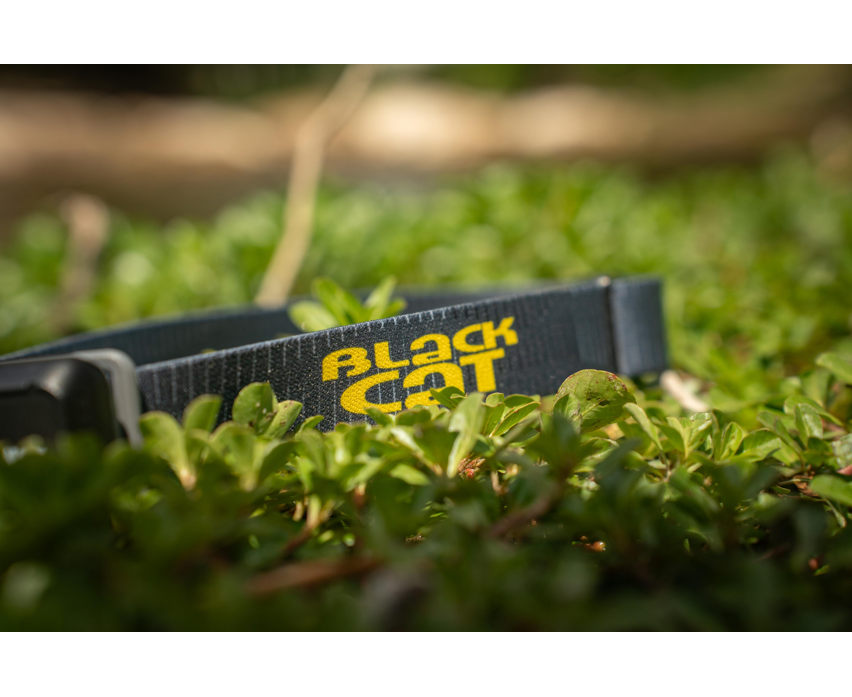 Black Cat Lumo Cat 300 Headtorch