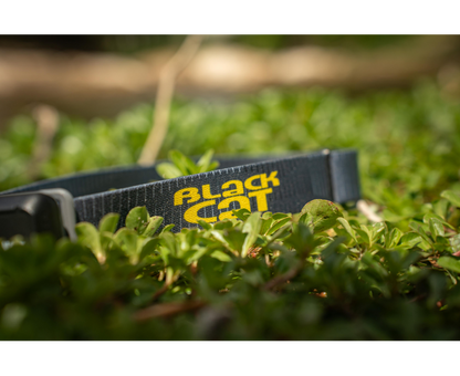 Black Cat Lumo Cat 300 Headtorch