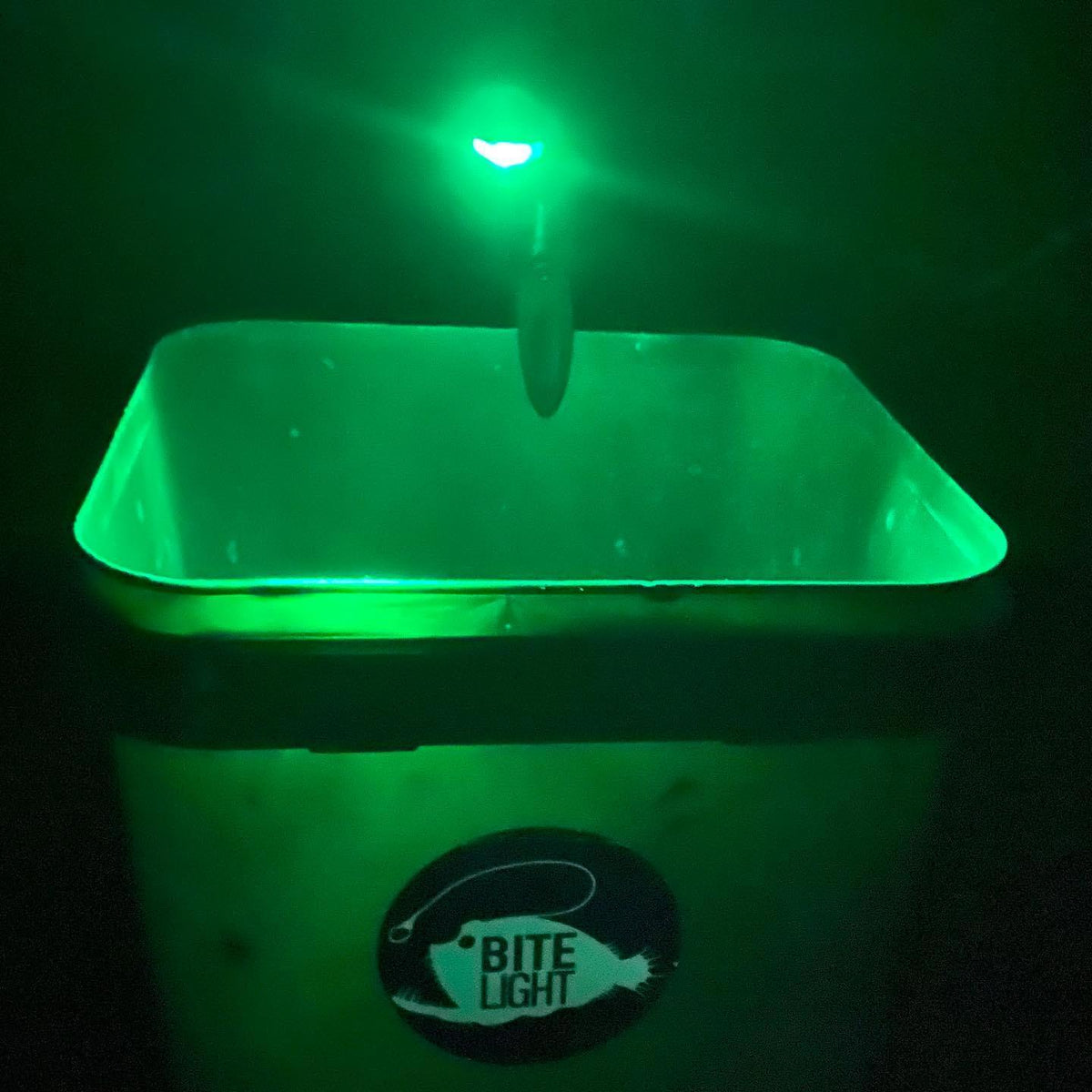 Bite Light Bucket Light – Great Fishing Tackle