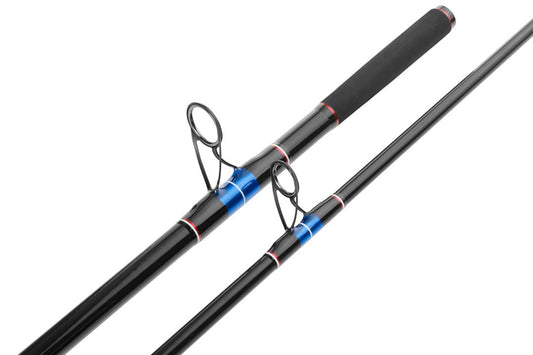 Zziplex Bass CT Rod 11' 8" 60-140g