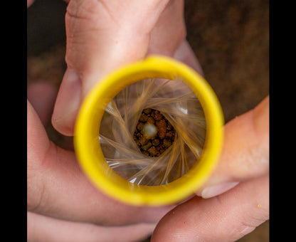 Avid Transfer Solid Bag System