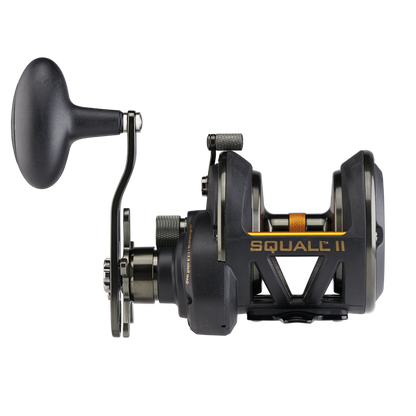 Penn Squall II 25 Narrow Star Drag