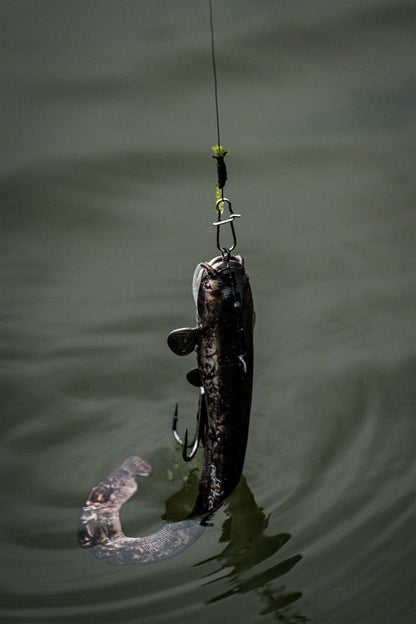 Fox Rage Ultra Realistic Replicant Natural Catfish