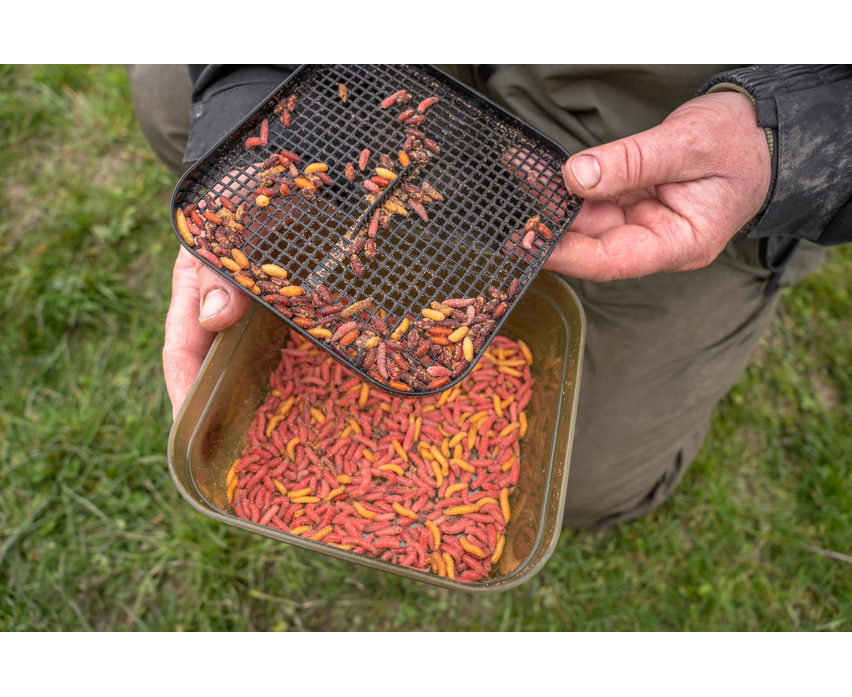 Korum Maggot Tub & Riddle - 2Pt 1.2L