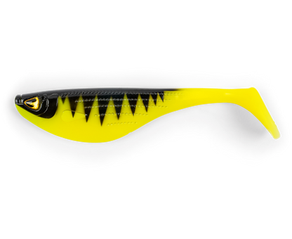 Black Cat Big Hit Shad