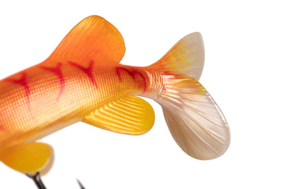 Fox Rage Ultra Realistic Replicant Golden Pike