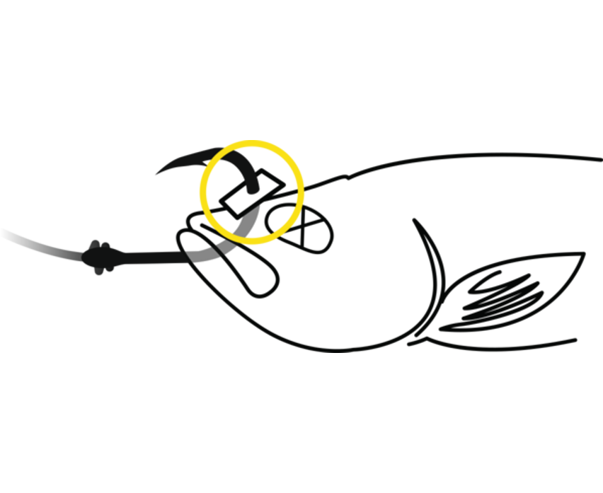 Black Cat Baitfish Stopper black 1.5m