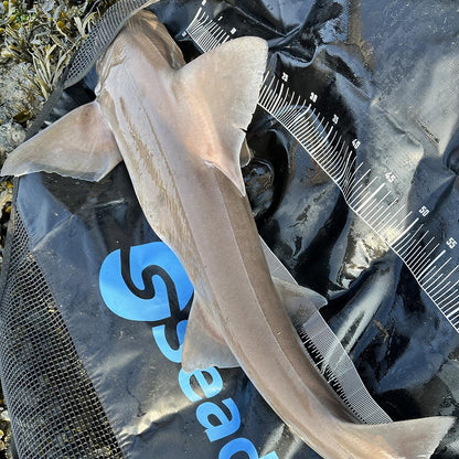 Seadra Weigh & Measure Sling Specimen 120cm
