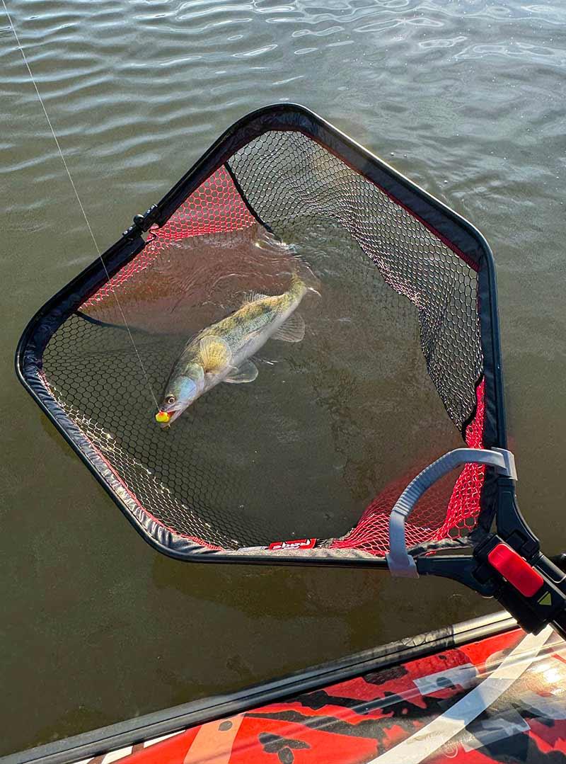 Fox Rage Speed Flow Folding Net