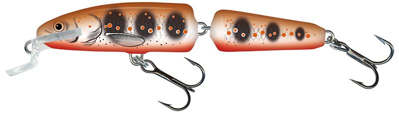 Salmo Fanatic Floating