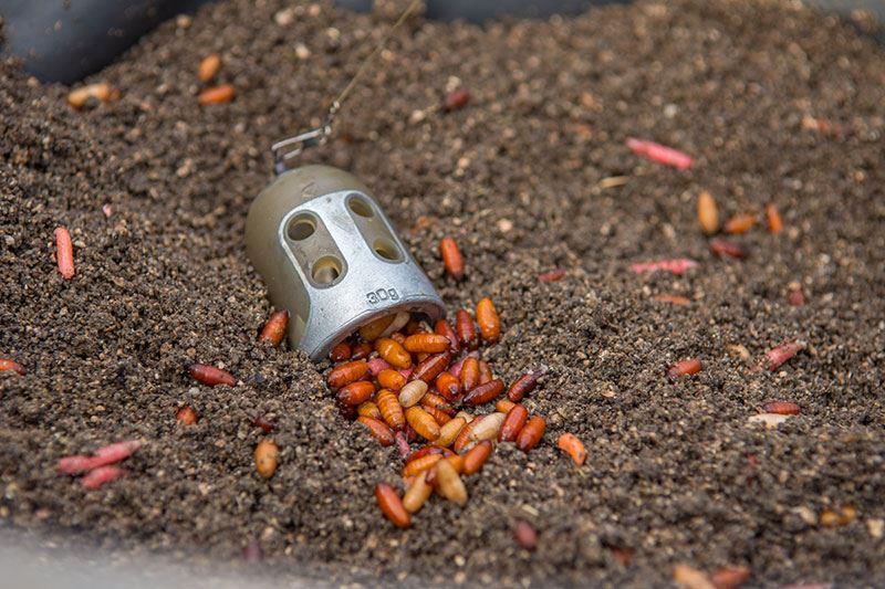 Fox Matrix Bell Feeder