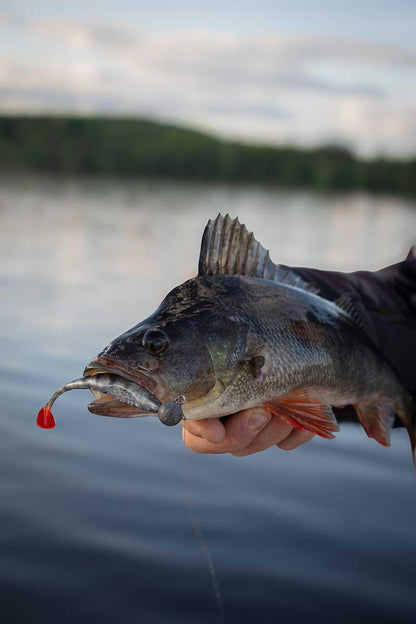 Fox Rage Scent Shad