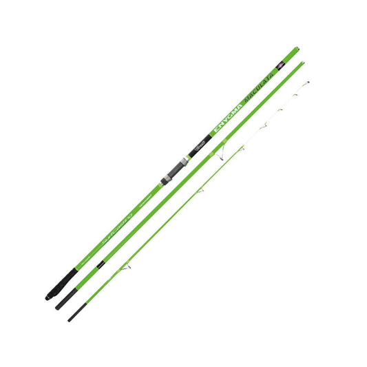 Vercelli Enygma Maculata 4.50m 100-200g