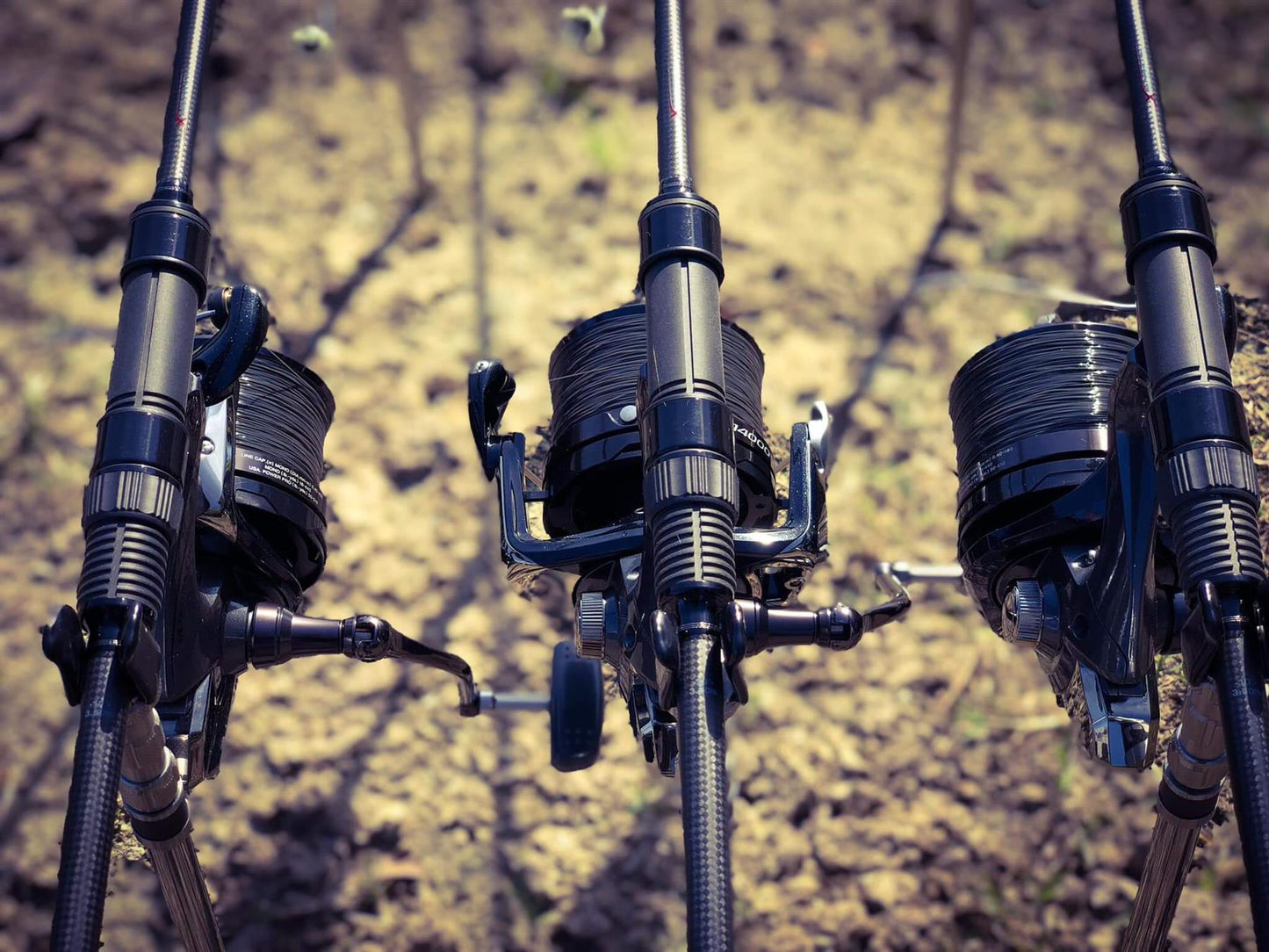 Katran Synapse Wild Carp Fishing Line