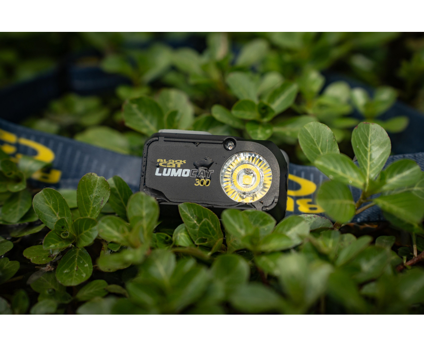 Black Cat Lumo Cat 300 Headtorch