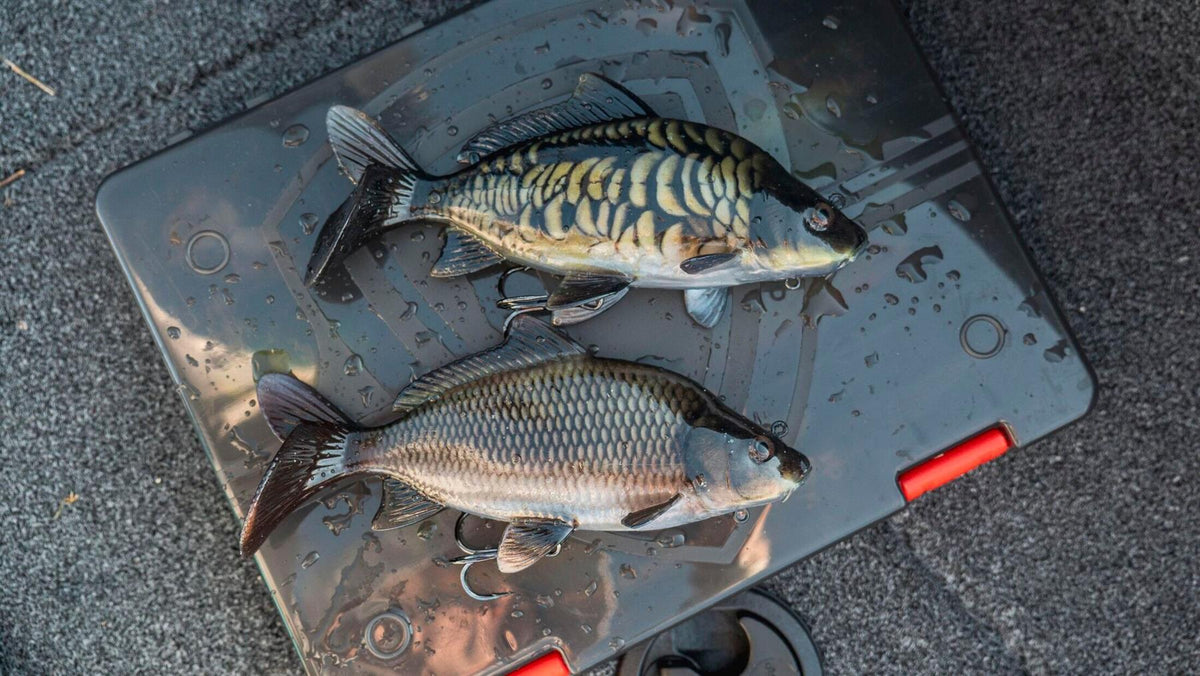 Fox Rage Ultra-Realistic Replicant Common Carp