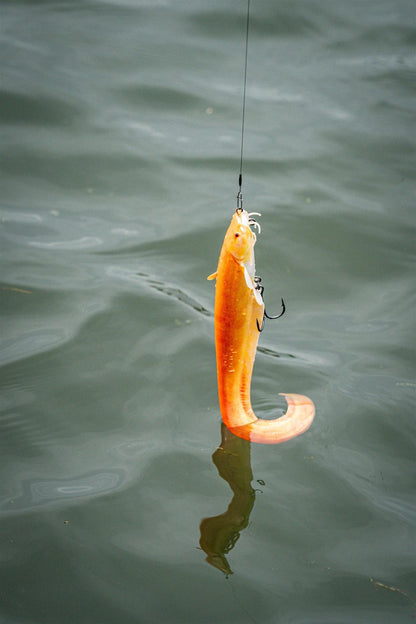 Fox Rage Ultra Realistic Replicant Golden Wells Catfish