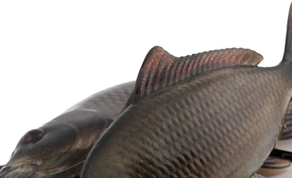 Fox Rage Ultra-Realistic Replicant Common Carp