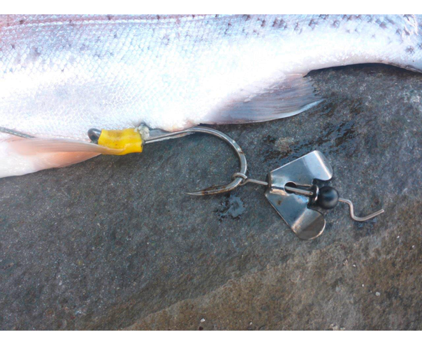 Black Cat Buzzer-Hook DG silver