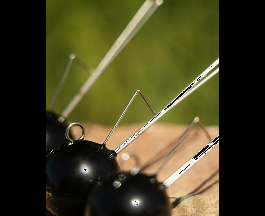 Black Cat Ball Dead or Alive System