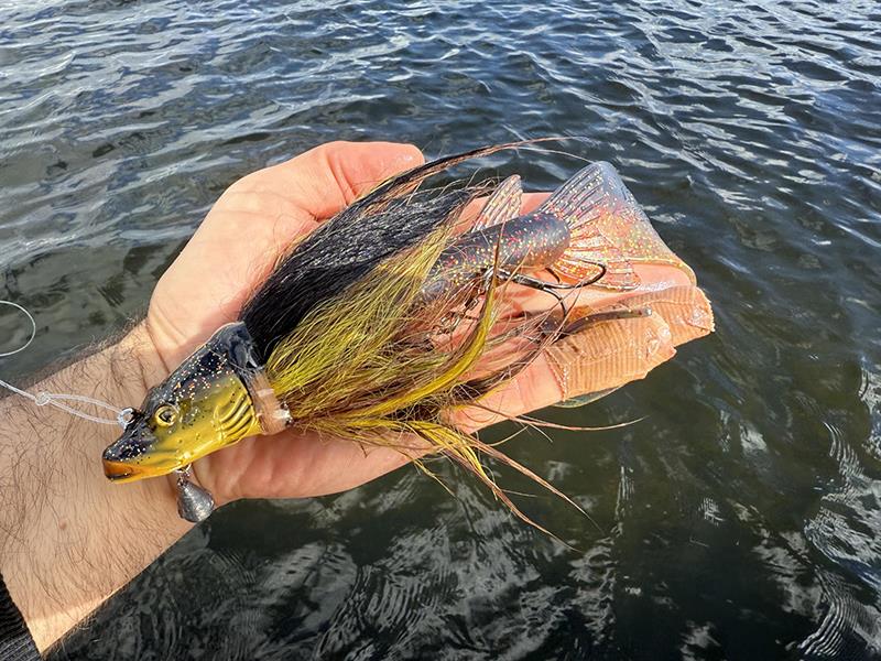 Fox Rage Buck Pike