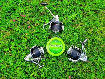Katran Synapse Wild Carp Fishing Line