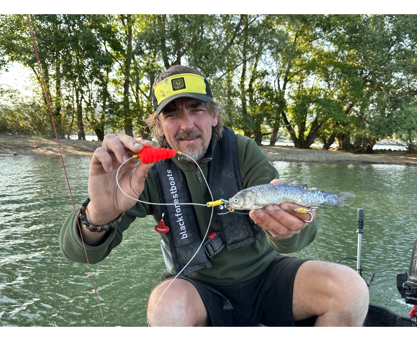 Black Cat Baitfish Tree Rig