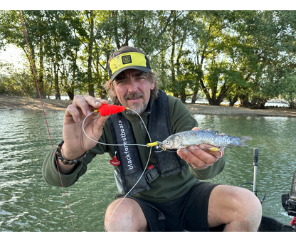 Black Cat Baitfish Tree Rig