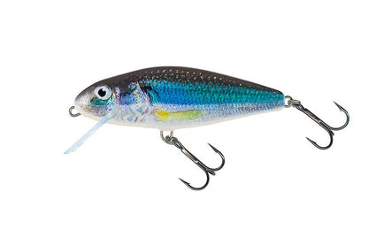 Salmo Perch Floating Crankbait