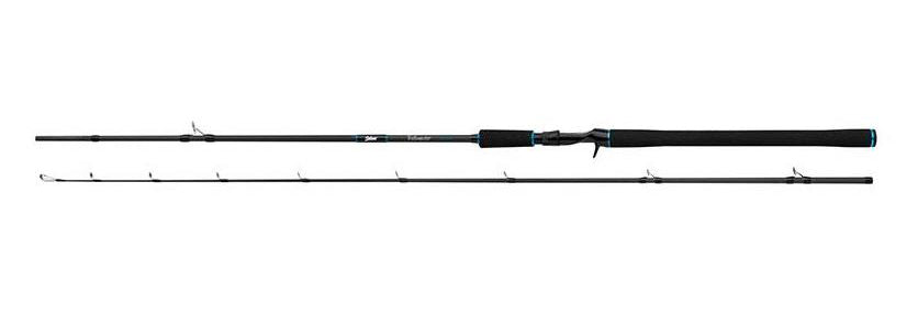 Salmo Tollmaster 240cm 40-60g 2pc
