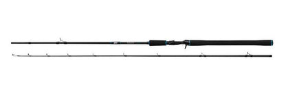 Salmo Tollmaster 240cm 40-60g 2pc