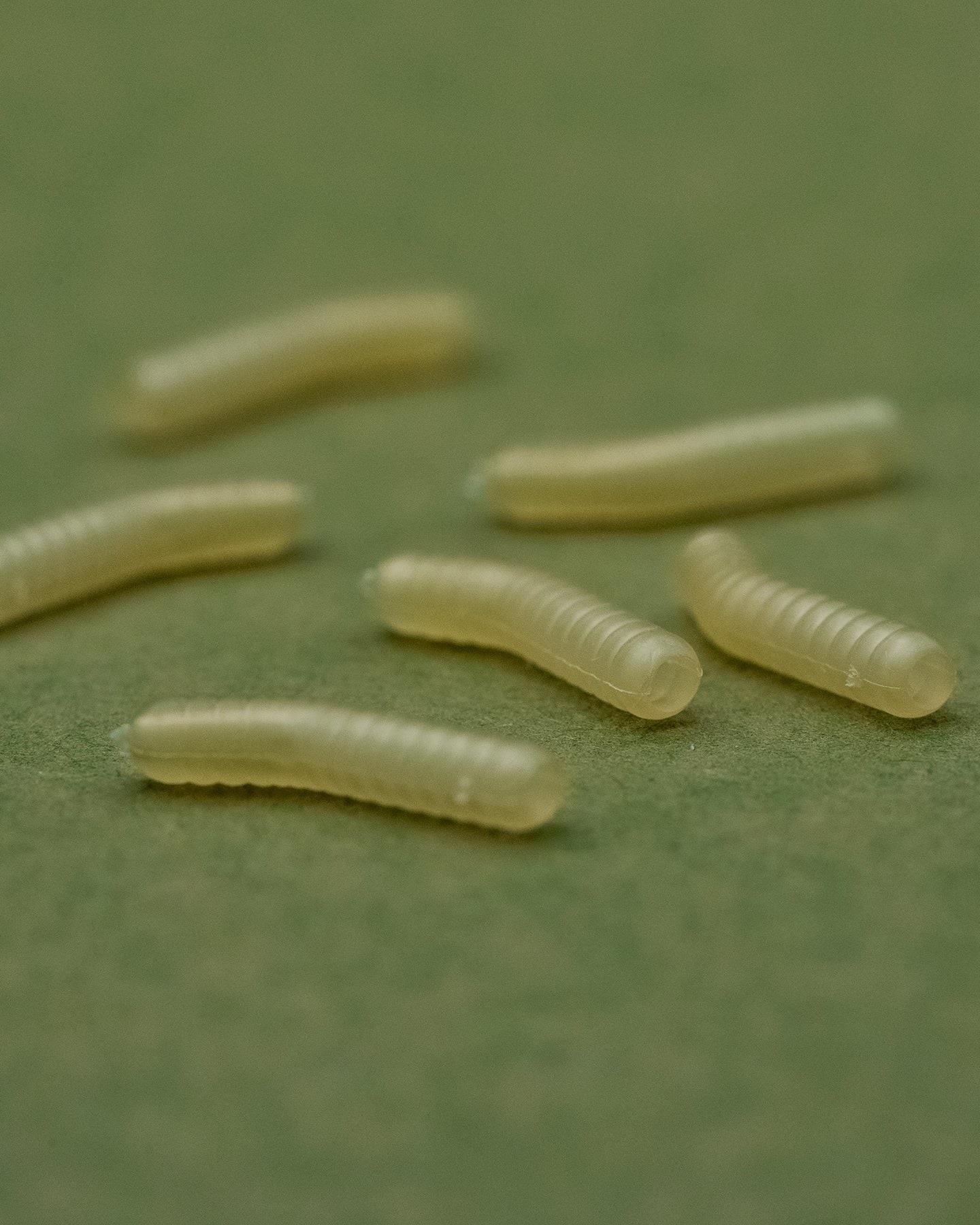 One More Cast Dazzlers Magoliner Inturn