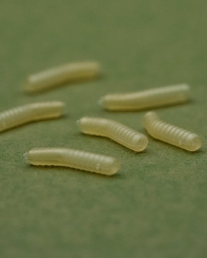 One More Cast Dazzlers Magoliner Inturn