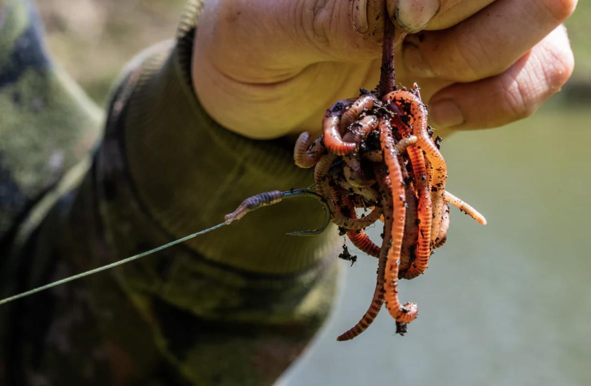 One More Cast Tweakers Wormurai