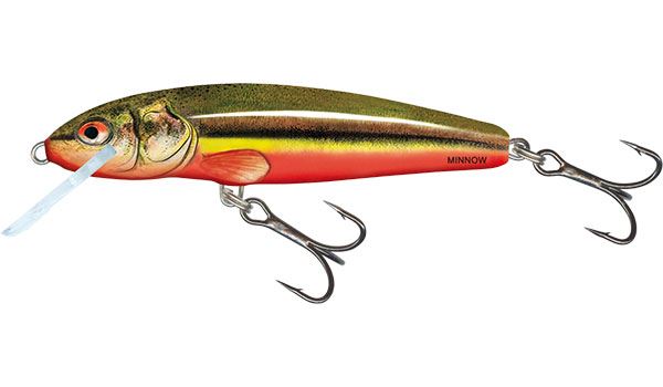 Salmo Minnow Floating Rainbow Dace 5cm