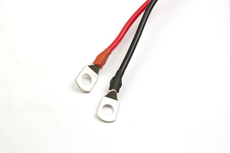 Fox 80LB 12v Brushless Engine