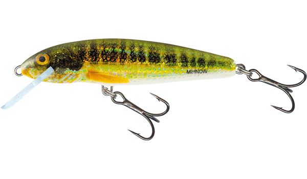 Salmo Minnow Floating Holo Real Minnow 5cm