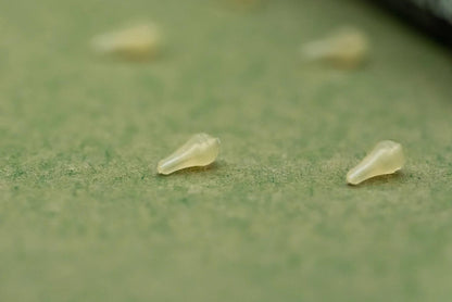 One More Cast Dazzlers Magowhite Distance Hookbead Small