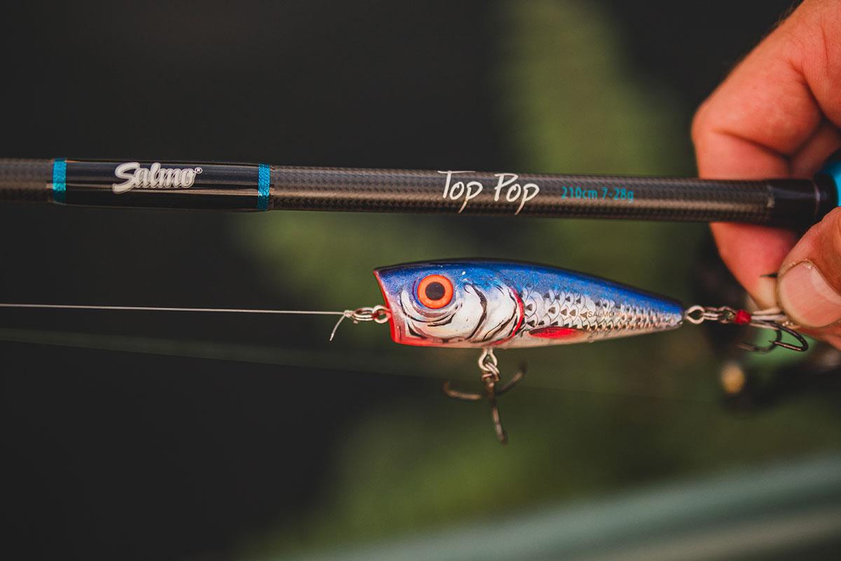 Salmo Top Pop 210cm 7-28g