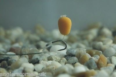 Enterprise Pop Up Maize 